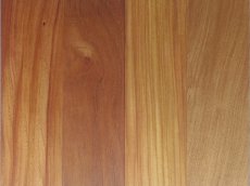 画像1: リンゴア無垢パネリング・オスモクリア塗装　1950×90×10　（1.755m2） (1)