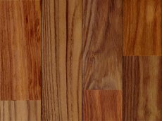 画像3: アルビジア無垢フローリングUNI・オイル塗装クリア　1820×90×15 (3)