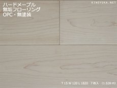 画像1: ハードメープル幅広無垢フローリングOPC・幅広・無塗装　1820×120×15 (1)