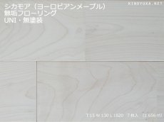 画像1: シカモア（ヨーロピアンメープル）幅広無垢フローリングＵＮＩ・無塗装　1820×130×15 (1)