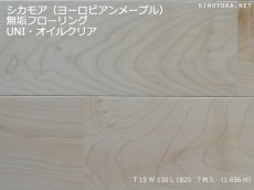 画像1: シカモア（ヨーロピアンメープル）幅広無垢フローリングＵＮＩ・オイルクリア　1820×130×15 (1)